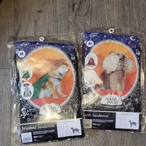 Disney Hocus Pocus Winifred Sanderson Pet Costume - Green and Orange